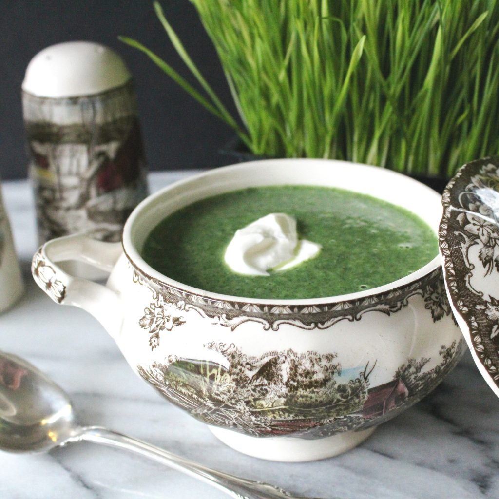 Foraged Foods Creamy Nettle Soup