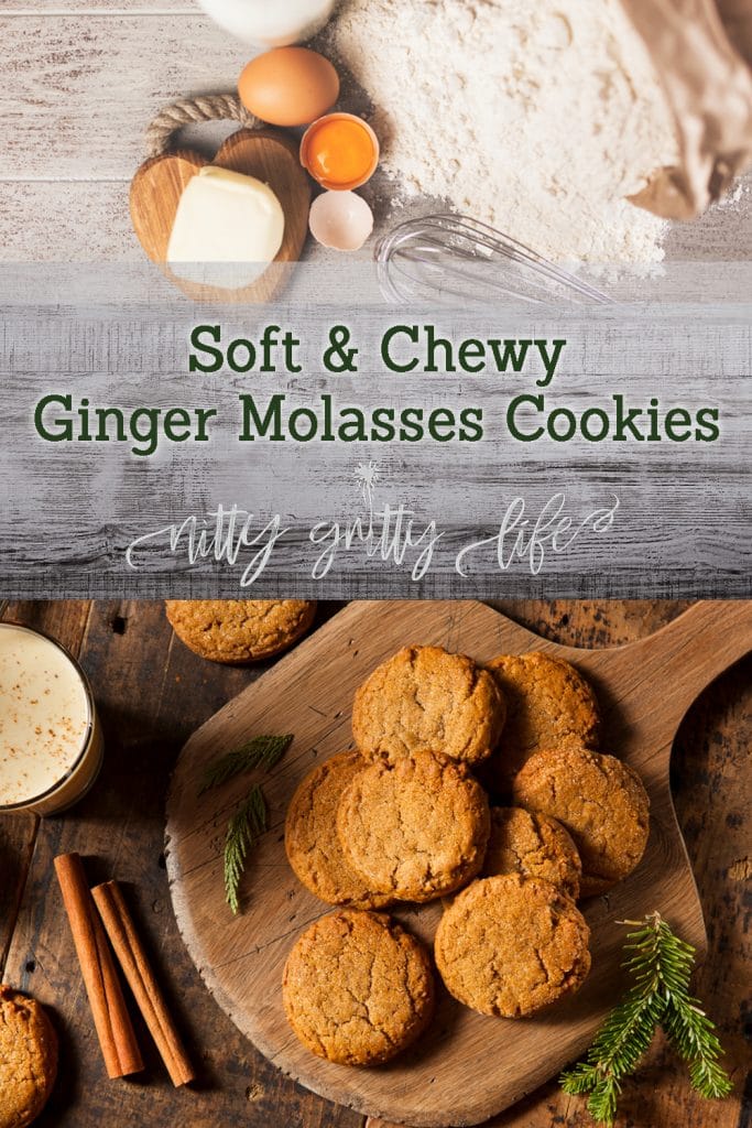 Ginger Molasses Cookies