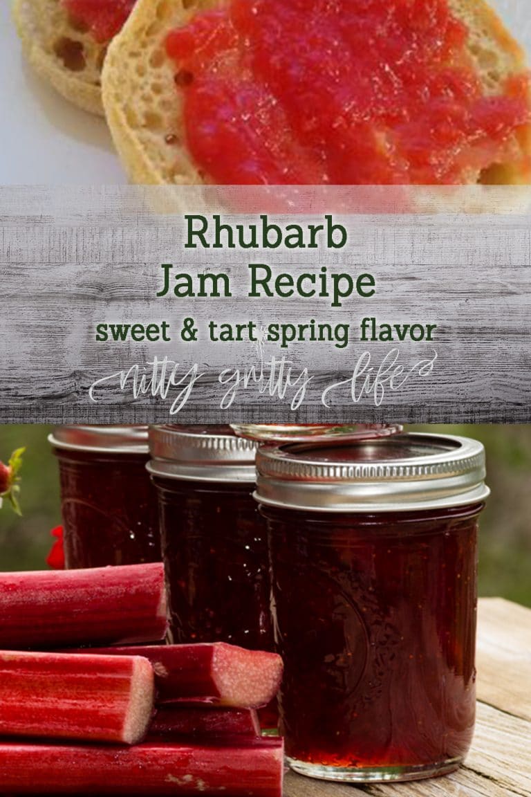 Shades of Spring Rhubarb Jam Nitty Gritty Life