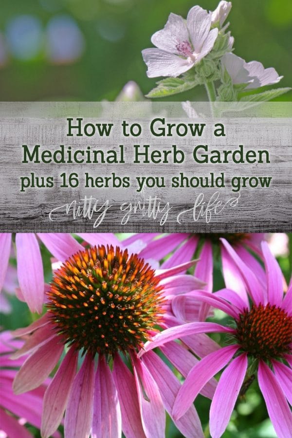 Creating a Medicinal Herb Garden Growing Herbs for Health & Wellness