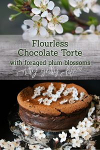 Flourless Chocolate Torte with Foraged Plum Blossoms