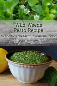 Wild Weeds Pesto Recipe