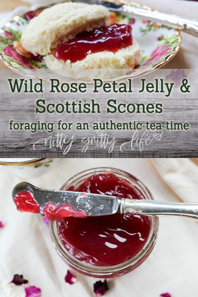 Wild Rose Petal Jam with Scottish Scones