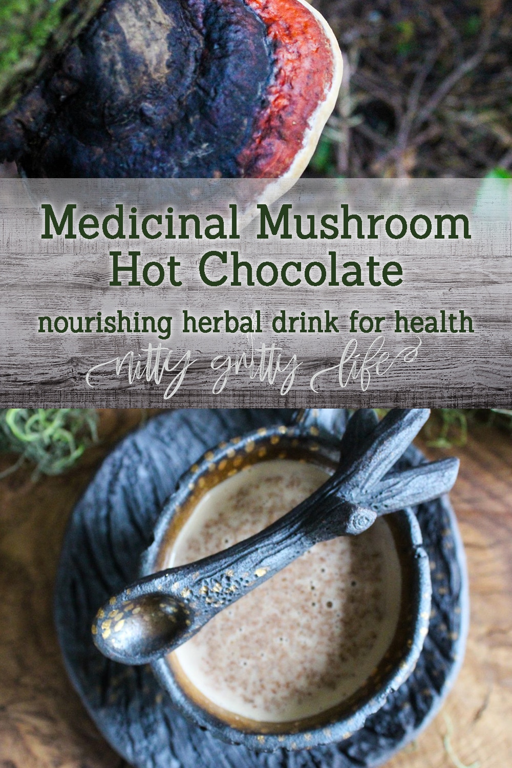 Medicinal Mushroom Hot Cocoa with Red Belted Polypore