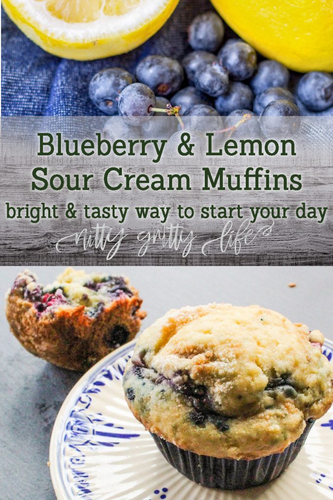 Blueberry and Lemon Sour Cream Muffins