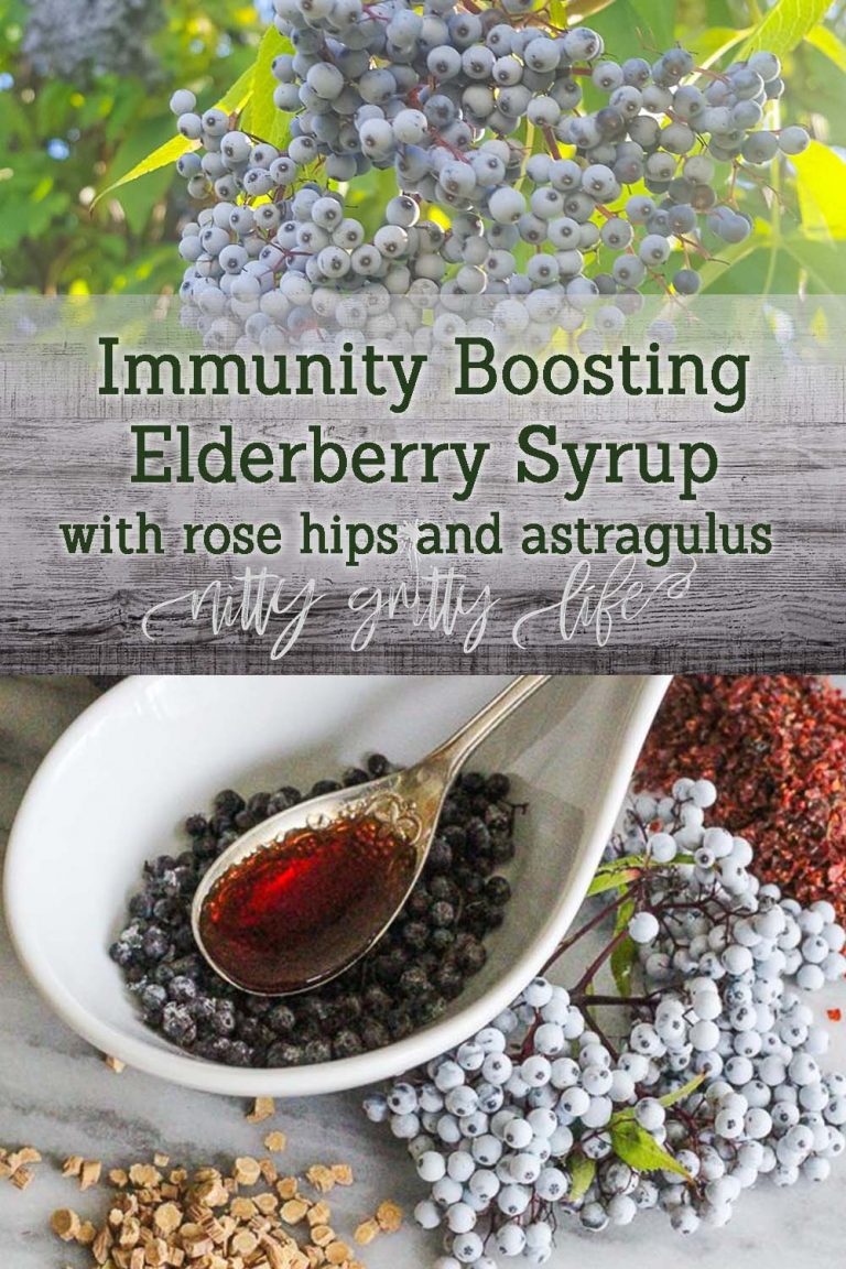 Elderberry Immunity Syrup with Rose Hips and Astragalus