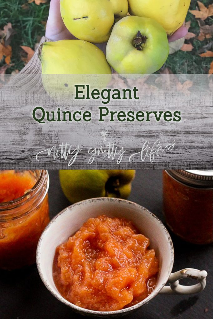 Quince Preserves