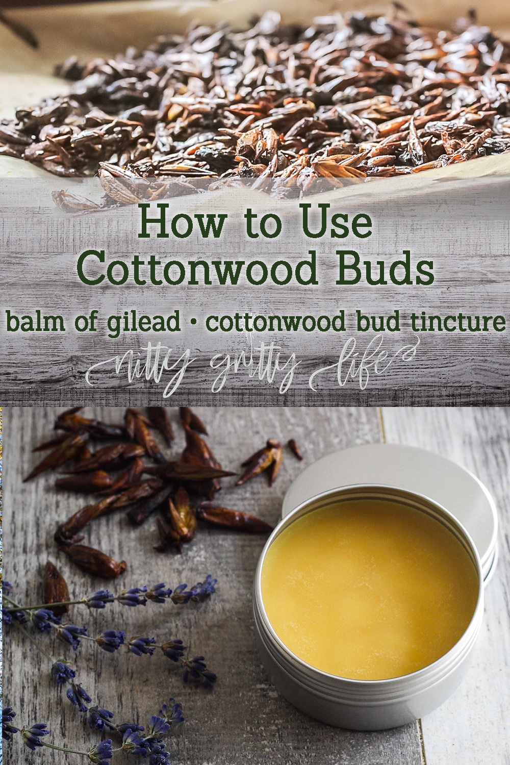 Cottonwood Buds Balm of Gilead & Tincture Nitty Gritty Life